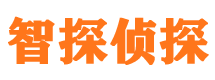 灵山调查事务所